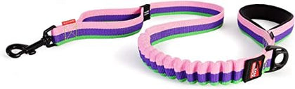 Shock-Absorbing Dog Leash - Blue 25"