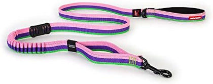 Shock-Absorbing Dog Leash - Blue 25"