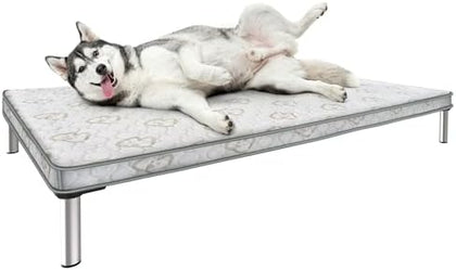 Chew-Proof Elevated Dog Bed - XL Black 56"