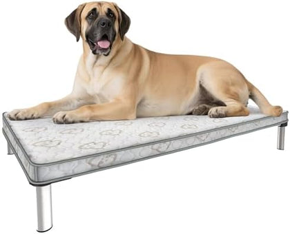 Chew-Proof Elevated Dog Bed - XL Black 56"