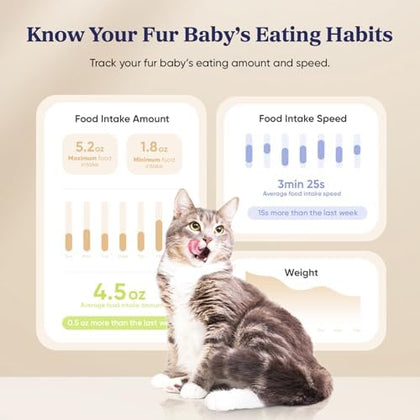 Smart WiFi Pet Feeder - 3.6L Edition