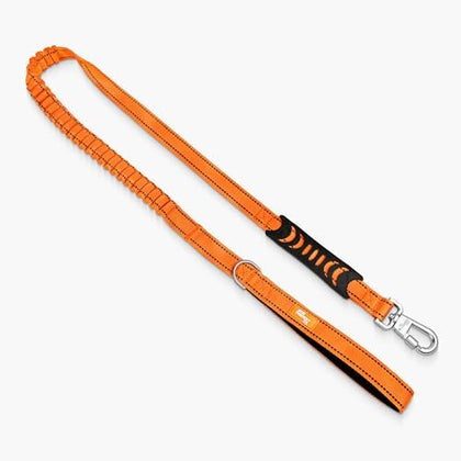 B0CTL2TQS3-019ecf02-d555-4856-8016-a1a2dff78beb