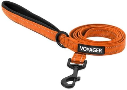 Reflective Dog Leash - Fuchsia S