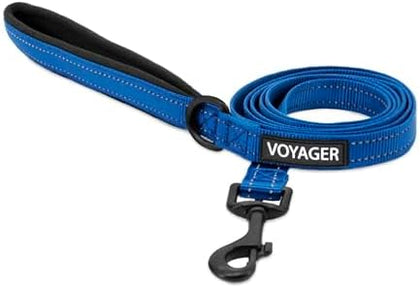 Reflective Dog Leash - Fuchsia S