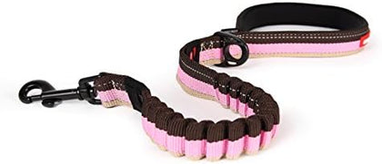 Shock-Absorbing Dog Leash - Blue 25"