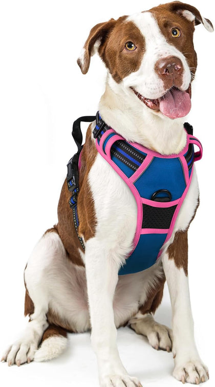 No-Pull Reflective Dog Harness