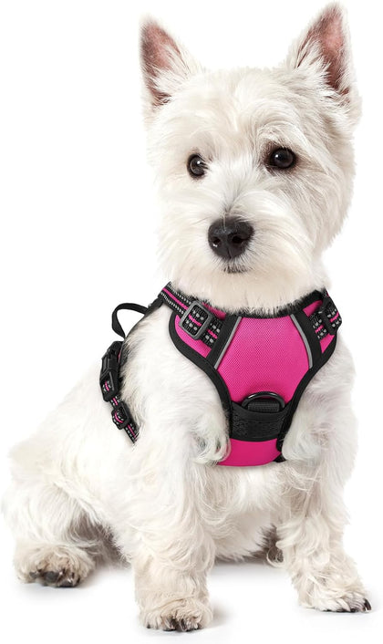 No-Pull Reflective Dog Harness
