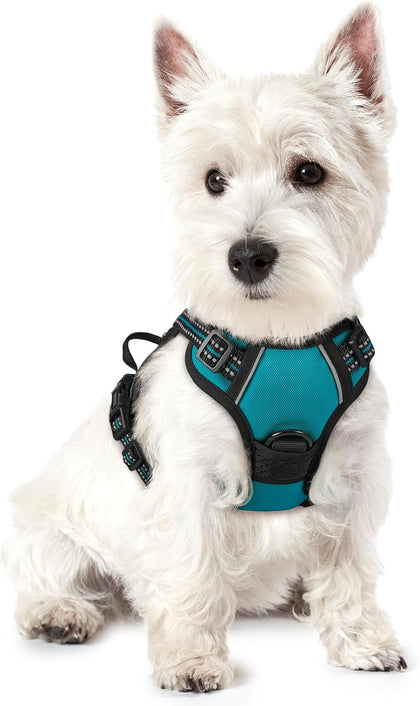 No-Pull Reflective Dog Harness