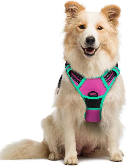 No-Pull Reflective Dog Harness