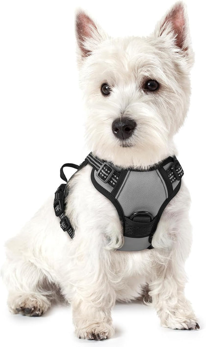 No-Pull Reflective Dog Harness