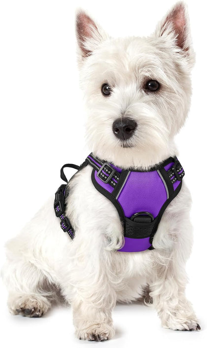 No-Pull Reflective Dog Harness