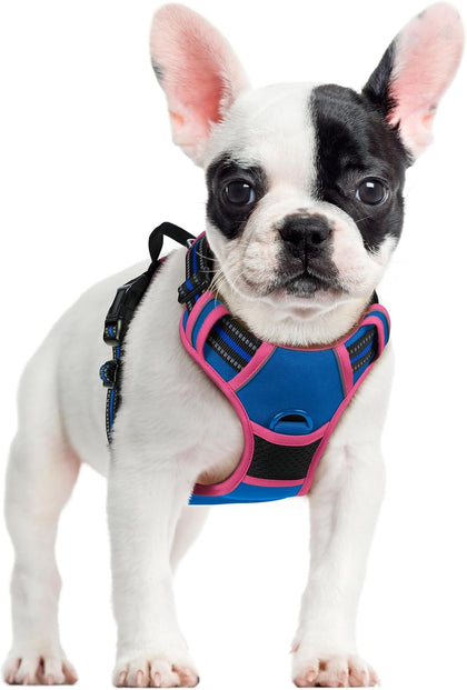 No-Pull Reflective Dog Harness