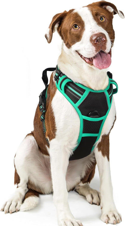 No-Pull Reflective Dog Harness