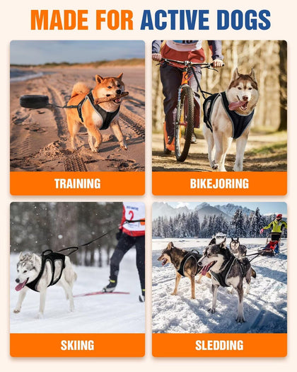 Dog Jogging Harness Set