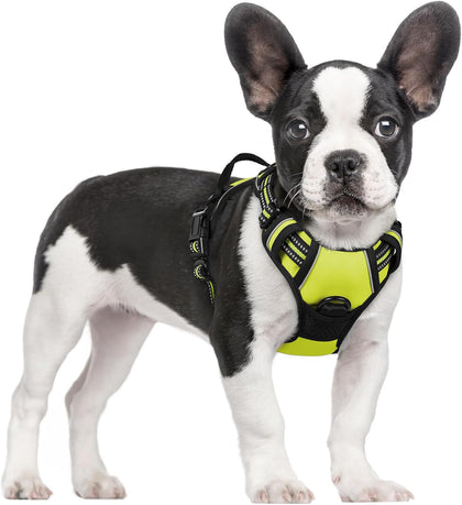 No-Pull Reflective Dog Harness