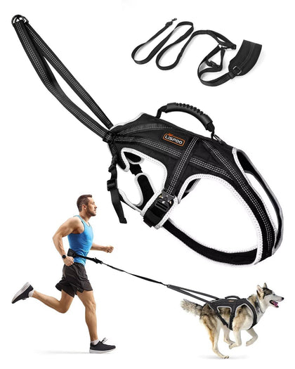 Dog Jogging Harness Set