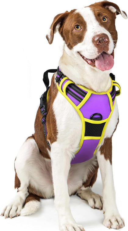No-Pull Reflective Dog Harness