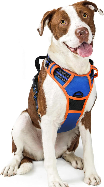 No-Pull Reflective Dog Harness