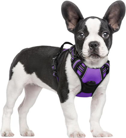 No-Pull Reflective Dog Harness