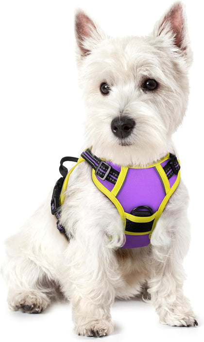 No-Pull Reflective Dog Harness