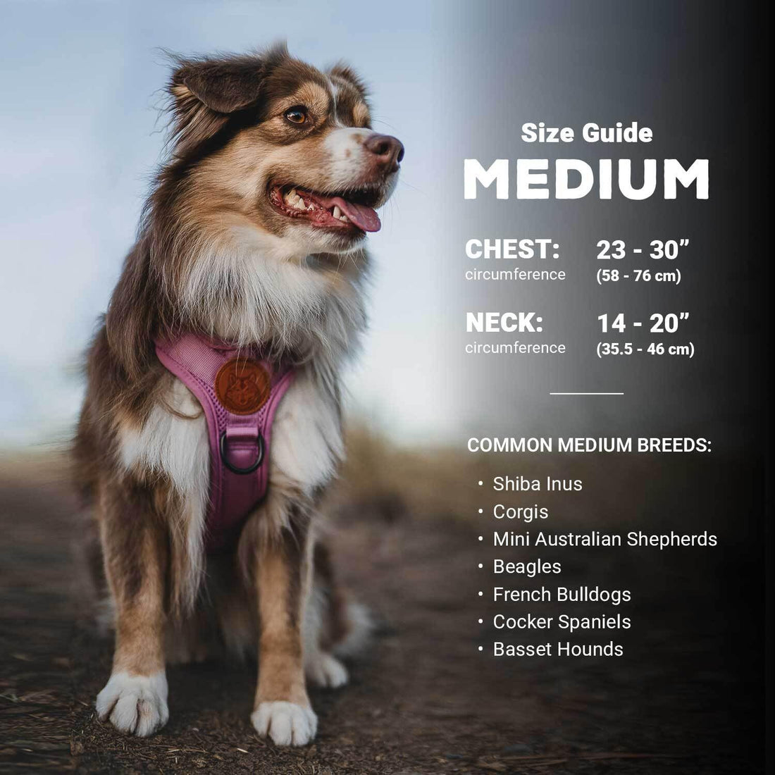 Reflective Dog Harness - Pacific Blue M