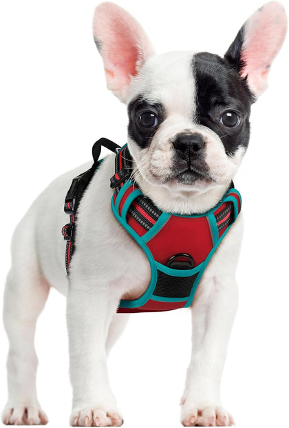 No-Pull Reflective Dog Harness