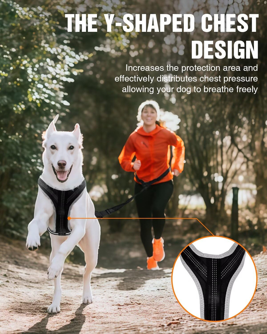 Dog Jogging Harness Set