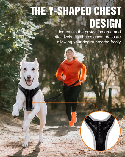 Dog Jogging Harness Set