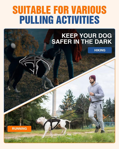 Dog Jogging Harness Set