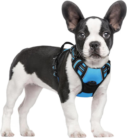 No-Pull Reflective Dog Harness