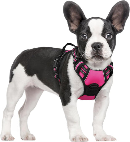 No-Pull Reflective Dog Harness