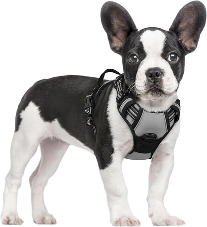 No-Pull Reflective Dog Harness
