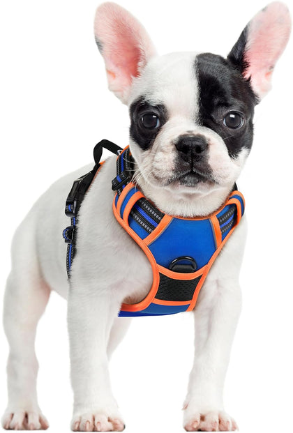 No-Pull Reflective Dog Harness