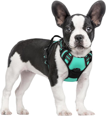 No-Pull Reflective Dog Harness