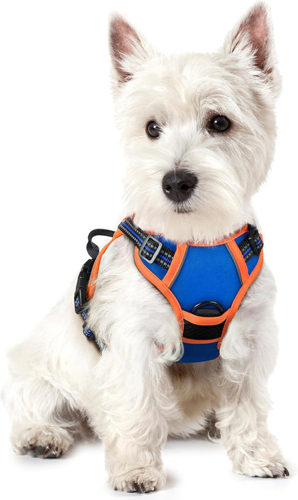 No-Pull Reflective Dog Harness