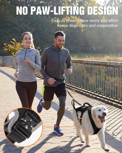 Dog Jogging Harness Set
