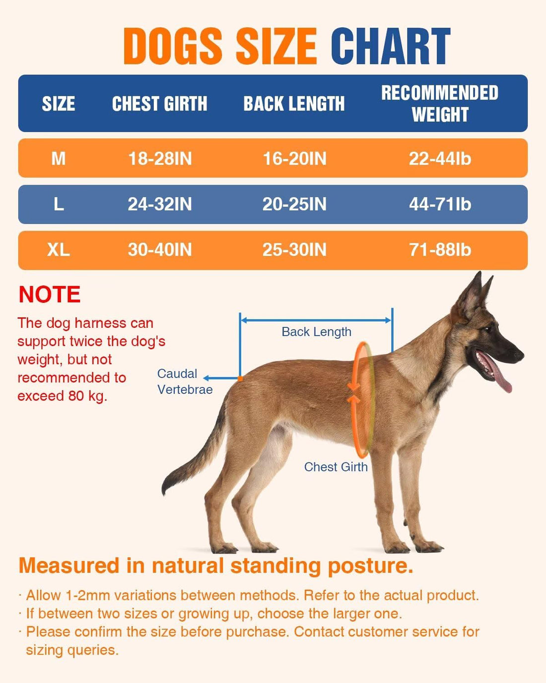 Dog Jogging Harness Set