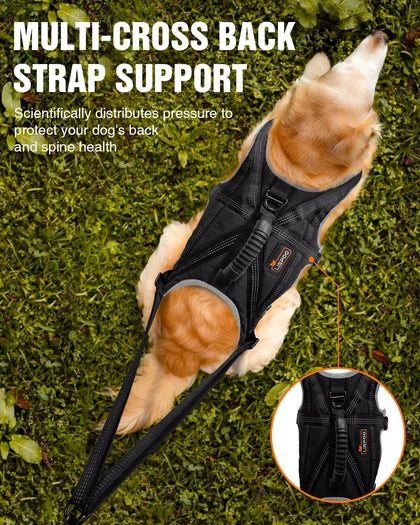 Dog Jogging Harness Set