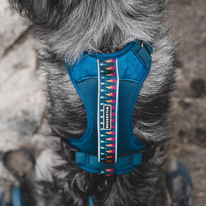 Reflective Dog Harness - Pacific Blue M